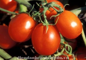 Tại sao cà chua giúp giảm đột quỵ  ?