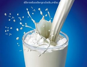 Vì sao sữa có năng lượng cao làm hỏng hệ tiêu hóa ?